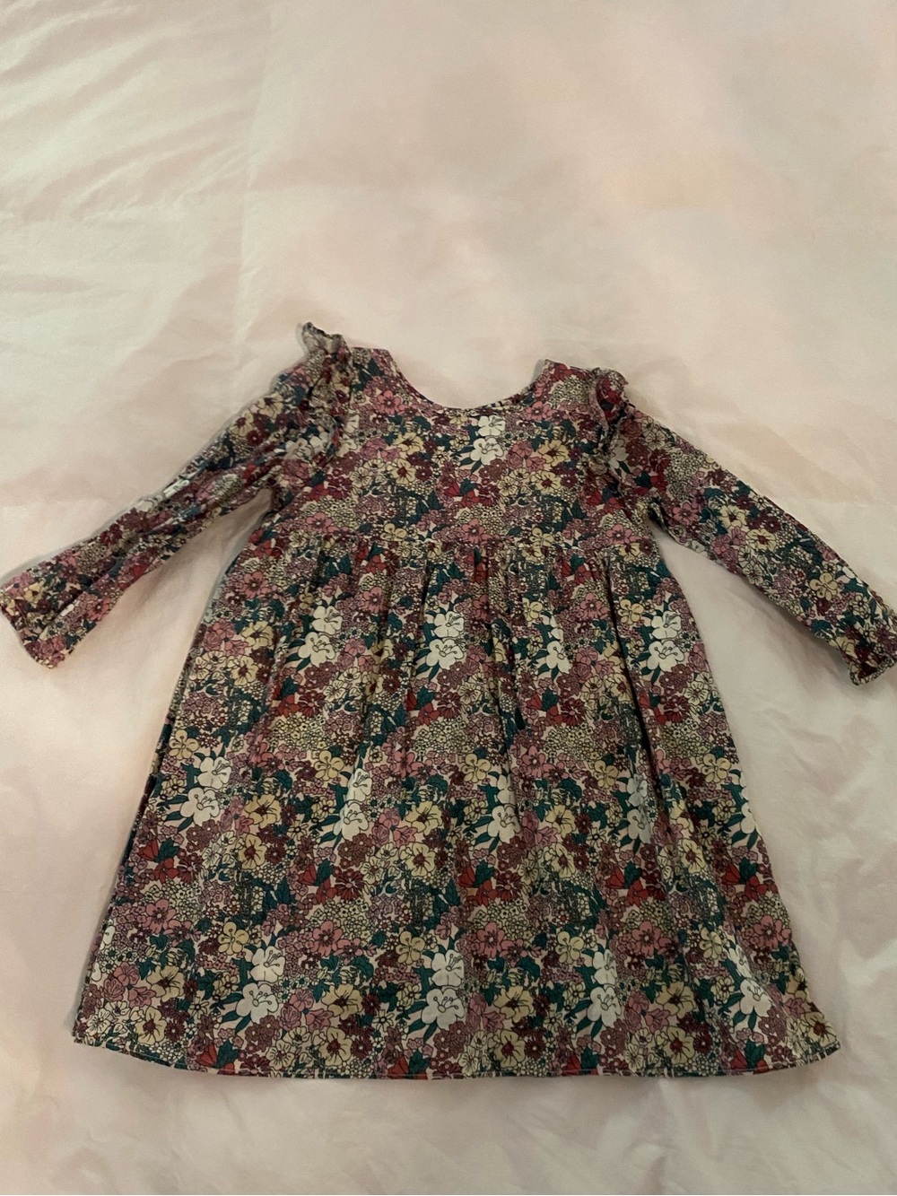 Baybala Clara Dress in Spiced Blossom 4T